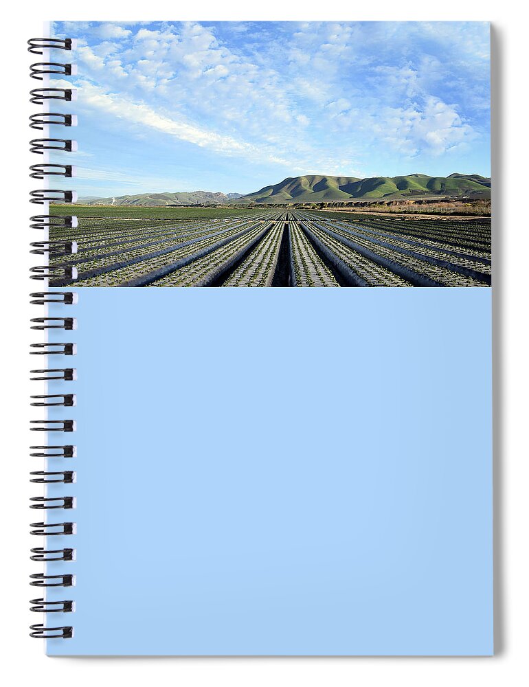 Farming Spiral Notebook featuring the photograph Strawberry Fields Forever 3 by Floyd Snyder