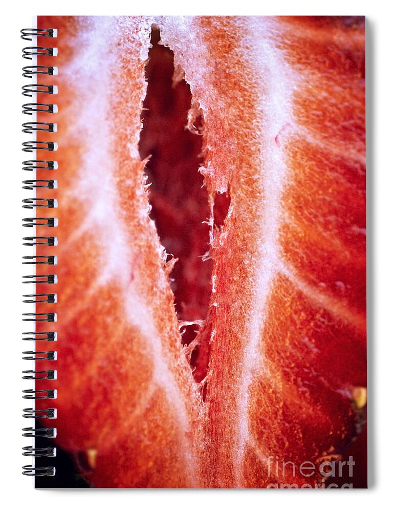 Abstract Spiral Notebook featuring the photograph Strawberry Half by Ray Laskowitz - Printscapes