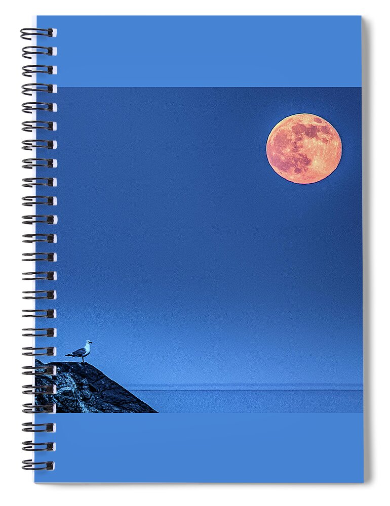  Spiral Notebook featuring the photograph Strawberry Moon and Seagull by Hershey Art Images
