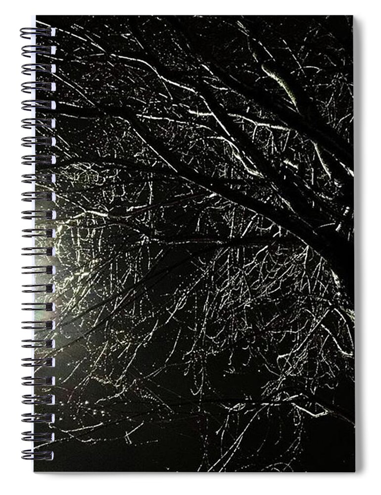 Rainy Spiral Notebook featuring the photograph Streetlight. Rain. Tree. November Is by Ginger Oppenheimer