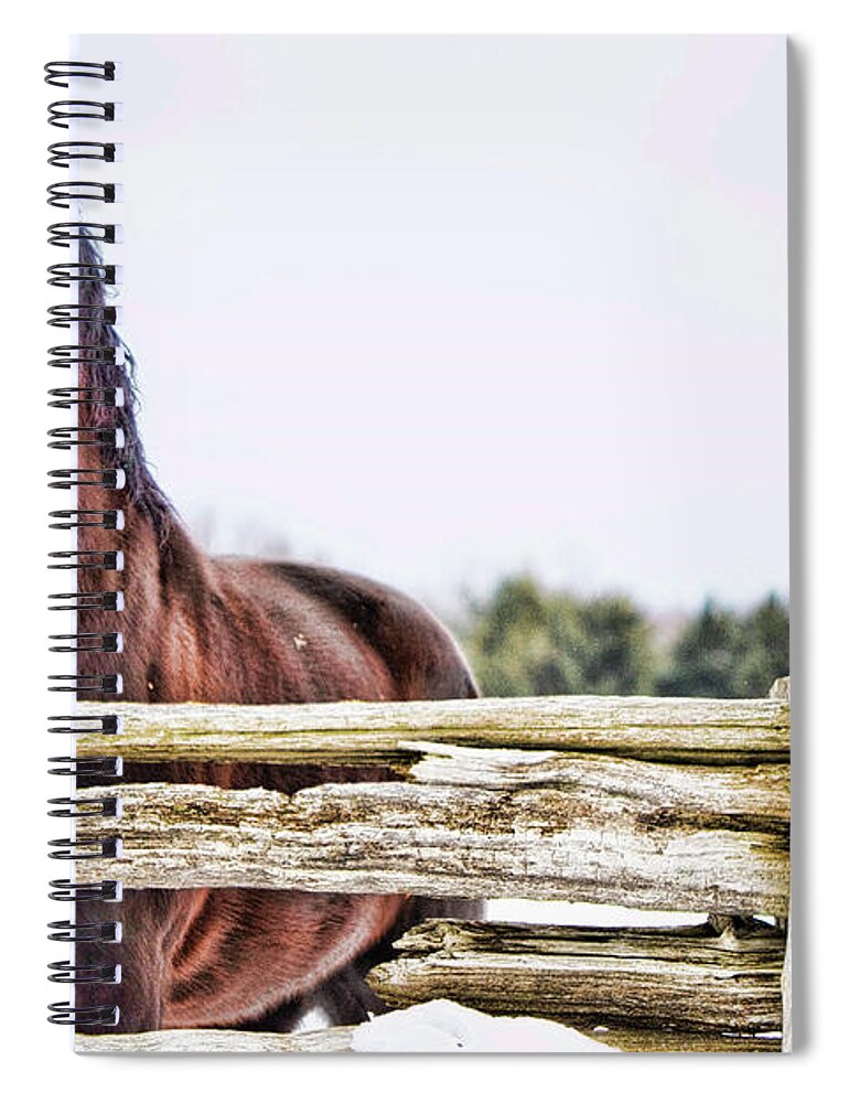 Horse Spiral Notebook featuring the photograph Strength by Traci Cottingham