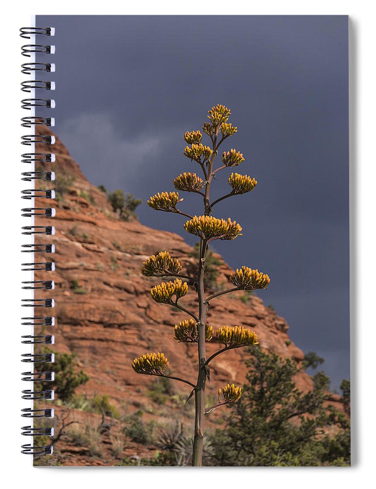 Century Plant Spiral Notebook featuring the photograph Stretching into a Threatening Sky by Laura Pratt