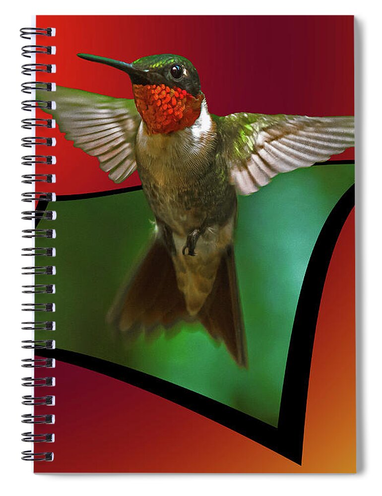 Ruby-throated Hummingbird Spiral Notebook featuring the photograph Stretching my wings by Robert L Jackson