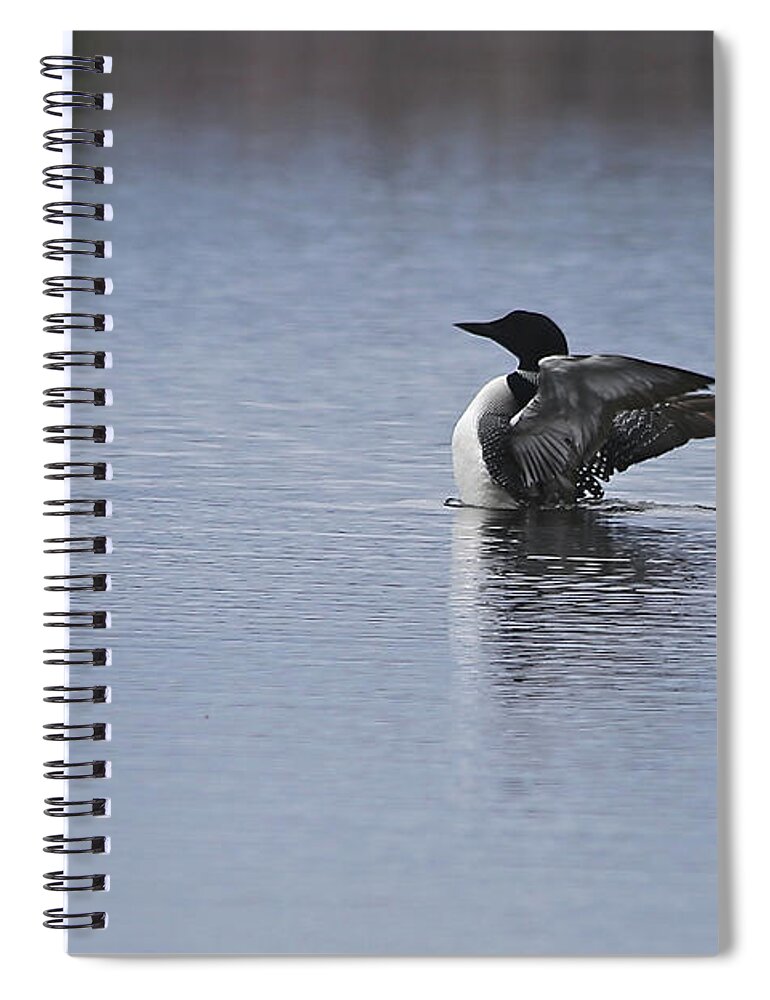 Loon Spiral Notebook featuring the photograph Stretching Your Wings by John Meader