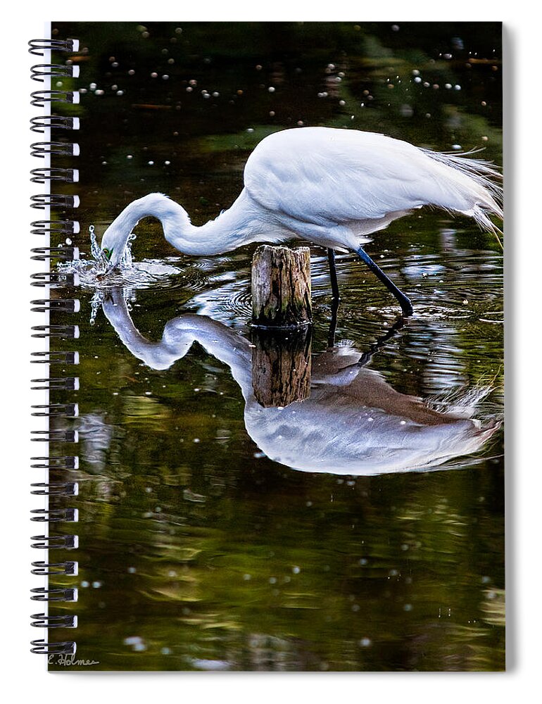Art Spiral Notebook featuring the photograph Strike by Christopher Holmes
