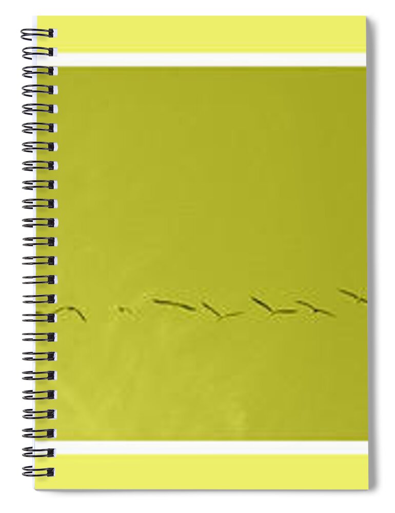 Birds Spiral Notebook featuring the photograph String of Birds in Yellow by Mary Mikawoz