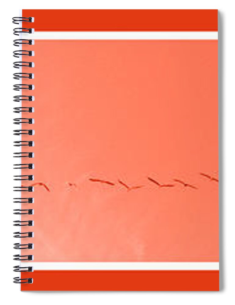 Birds Spiral Notebook featuring the photograph String of Brids in Red by Mary Mikawoz
