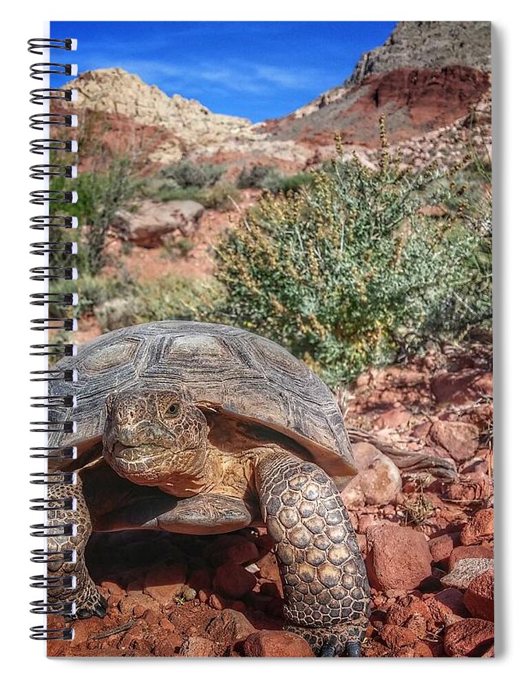  Spiral Notebook featuring the photograph Strut by Mark Ross