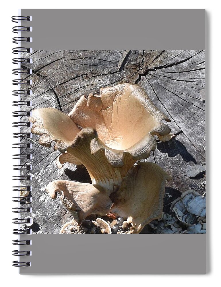 Mushroom Spiral Notebook featuring the photograph Stump Mushroom I by R Allen Swezey