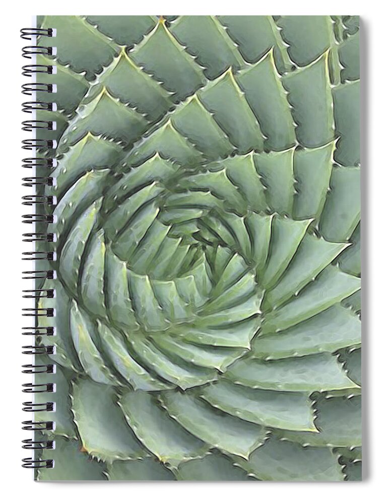 Succulents Spiral Notebook featuring the digital art Succulent 1 by David Hansen