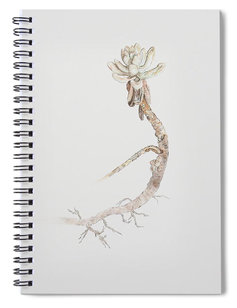 Succulent Spiral Notebook featuring the painting Succulent by Michelle Miron-Rebbe
