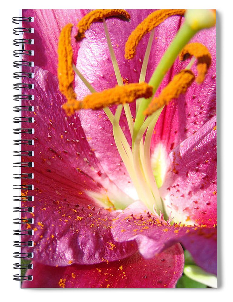 Lilies Spiral Notebook featuring the photograph Summer Botanical Garden Art Pink Calla Lily Flower Baslee Troutman by Patti Baslee