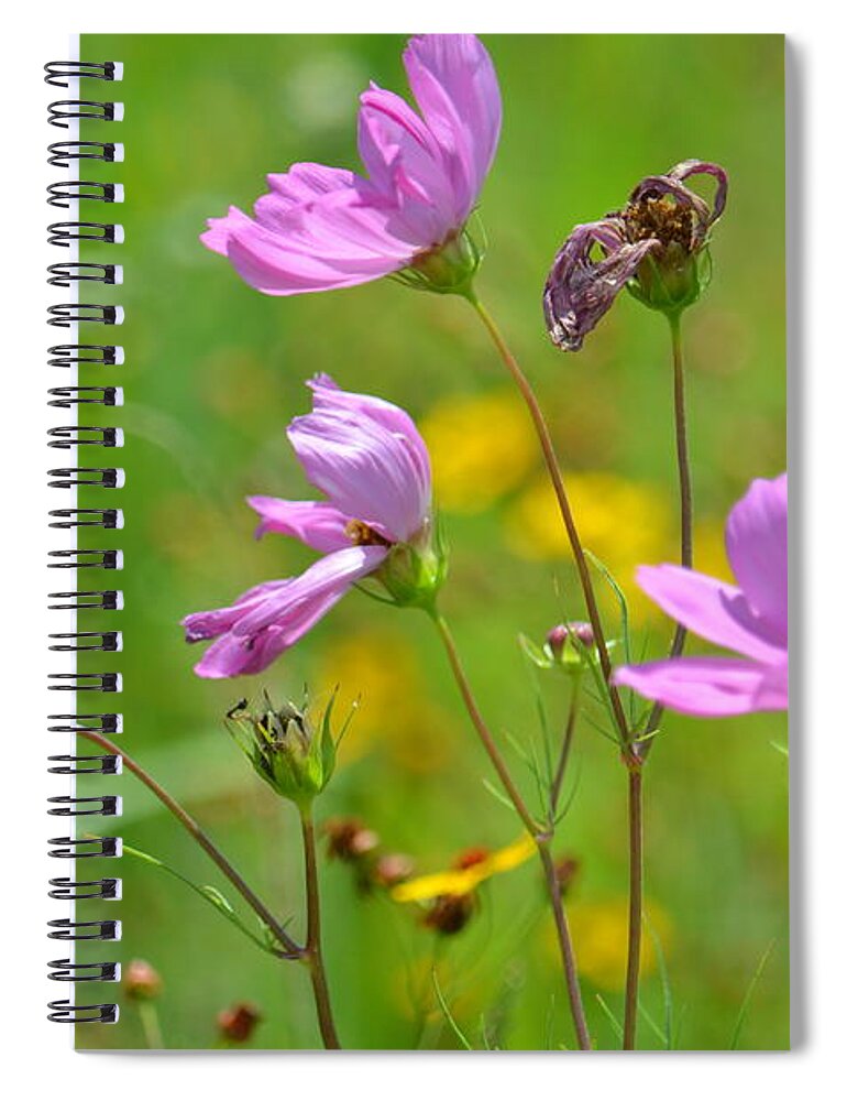 Summer Fields Spiral Notebook featuring the photograph Summer Fields by Maria Urso