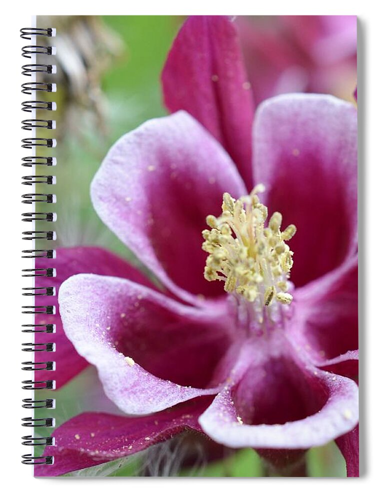 Flowers Spiral Notebook featuring the photograph Summer Flower-2 by Charles HALL