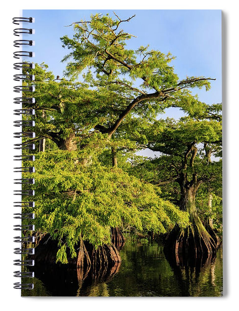 Florida Spiral Notebook featuring the photograph Summer Greens by Stefan Mazzola