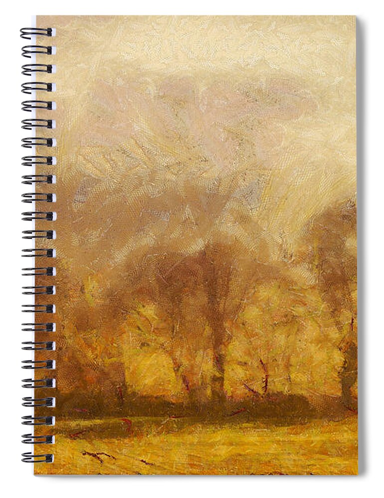 Painting Spiral Notebook featuring the painting Summer landscape by Dimitar Hristov