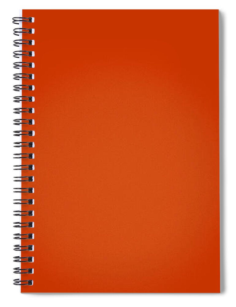 Moon Spiral Notebook featuring the photograph Summer Moon On A Desert Day by Thomas Woolworth