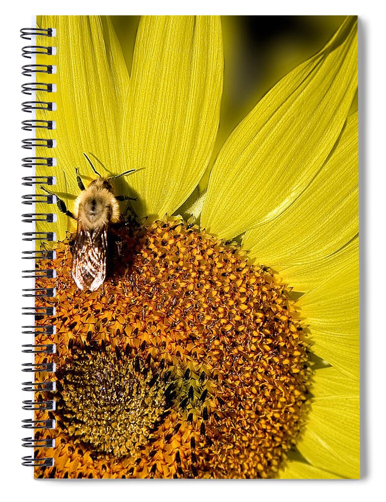 Sunflower Spiral Notebook featuring the photograph Sun Bee by Chris Lord