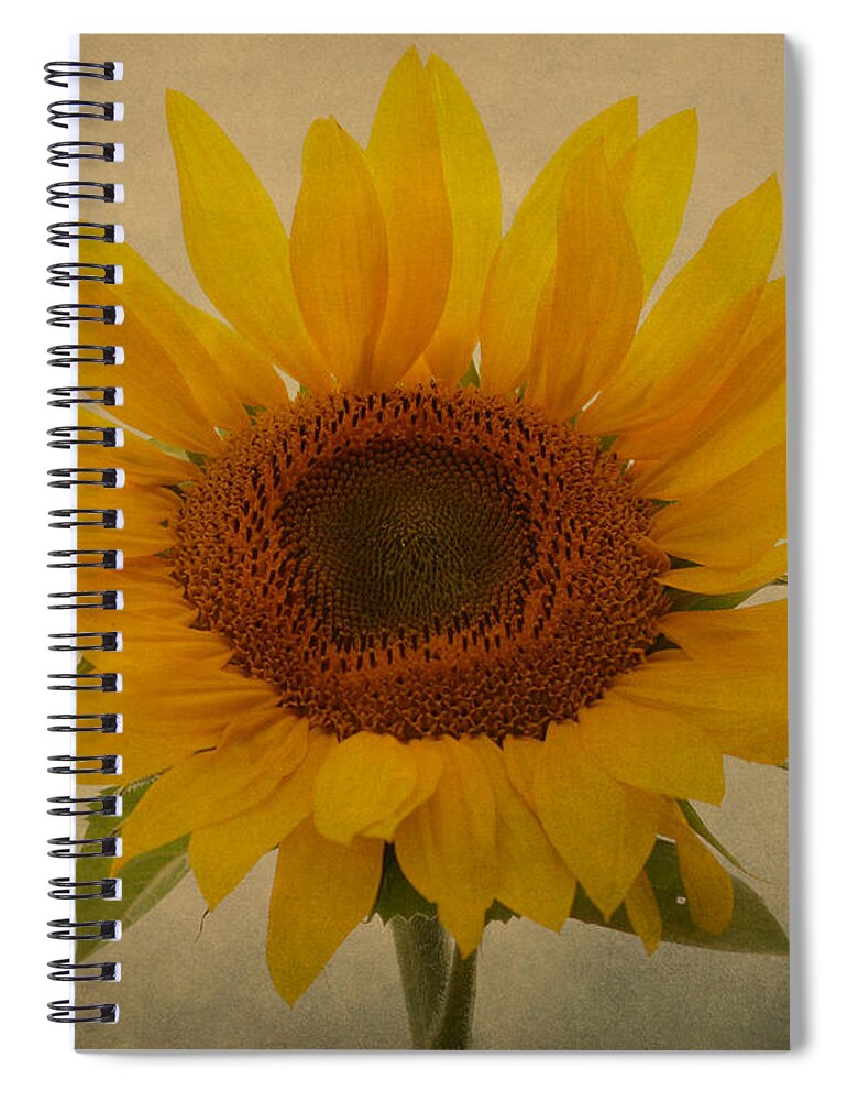 Sunflower Spiral Notebook featuring the photograph Sun Giant by Heather King