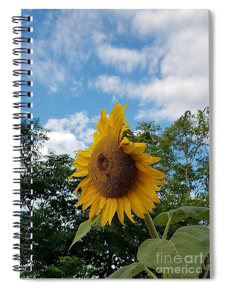 Helianthus Annuus Spiral Notebook featuring the photograph Sun PoweR by Angela J Wright
