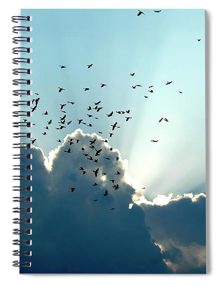 Sky Spiral Notebook featuring the photograph Sun Ray Aerobatics Blue Sky by Carolyn Marshall