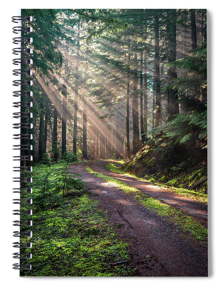 Landscape Spiral Notebook featuring the photograph Sunbeam in Trees portrait by Jason Brooks