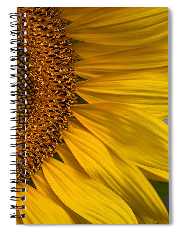 Sunflower Abstract Spiral Notebook featuring the photograph Sunflower Abstract by Dale Kincaid