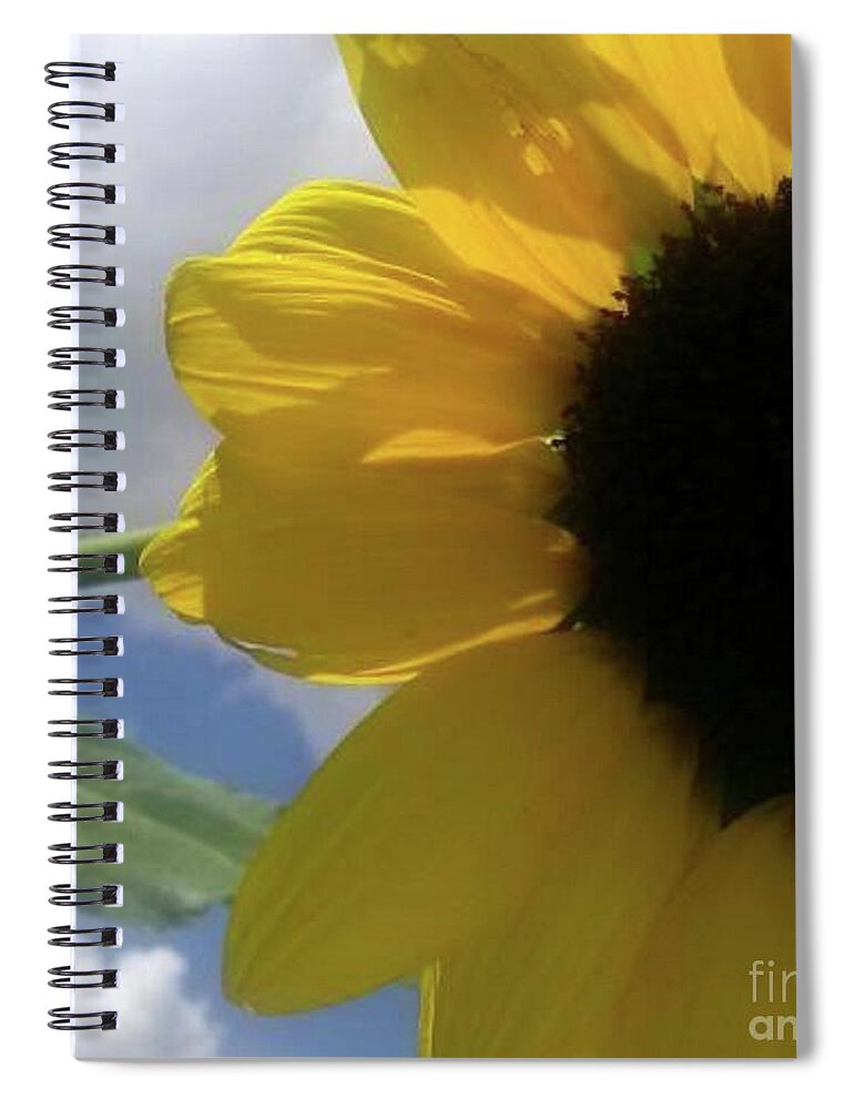 Flowers Spiral Notebook featuring the photograph Sunflower by Beverly Elliott