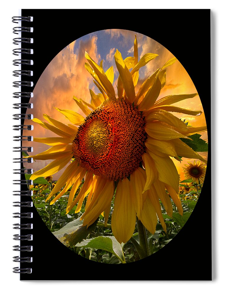 Sunflower Spiral Notebook featuring the photograph Sunflower Dawn in Oval by Debra and Dave Vanderlaan