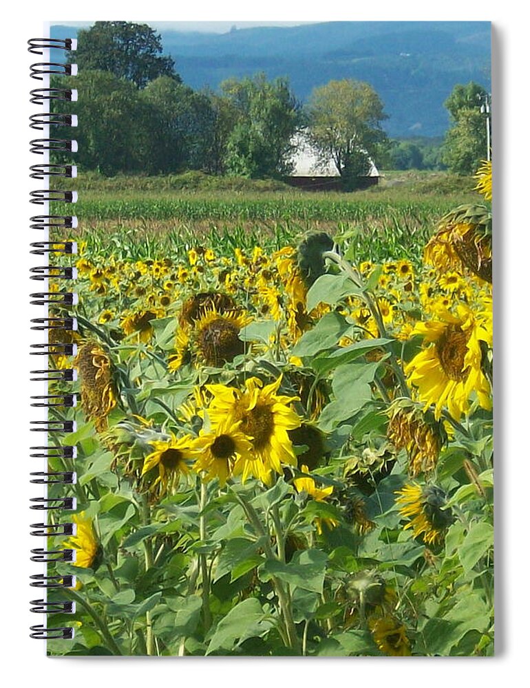 Quin Sweetman Spiral Notebook featuring the photograph Sunflower Field with Distant Barn by Quin Sweetman