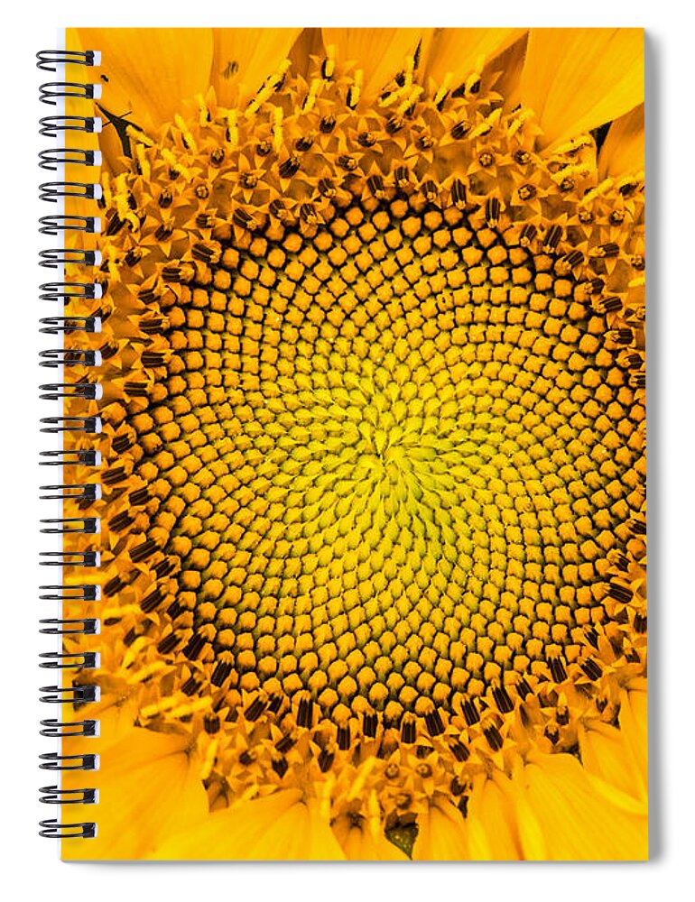 Sunrise Spiral Notebook featuring the photograph Sunflower Mandala by Mindy Musick King