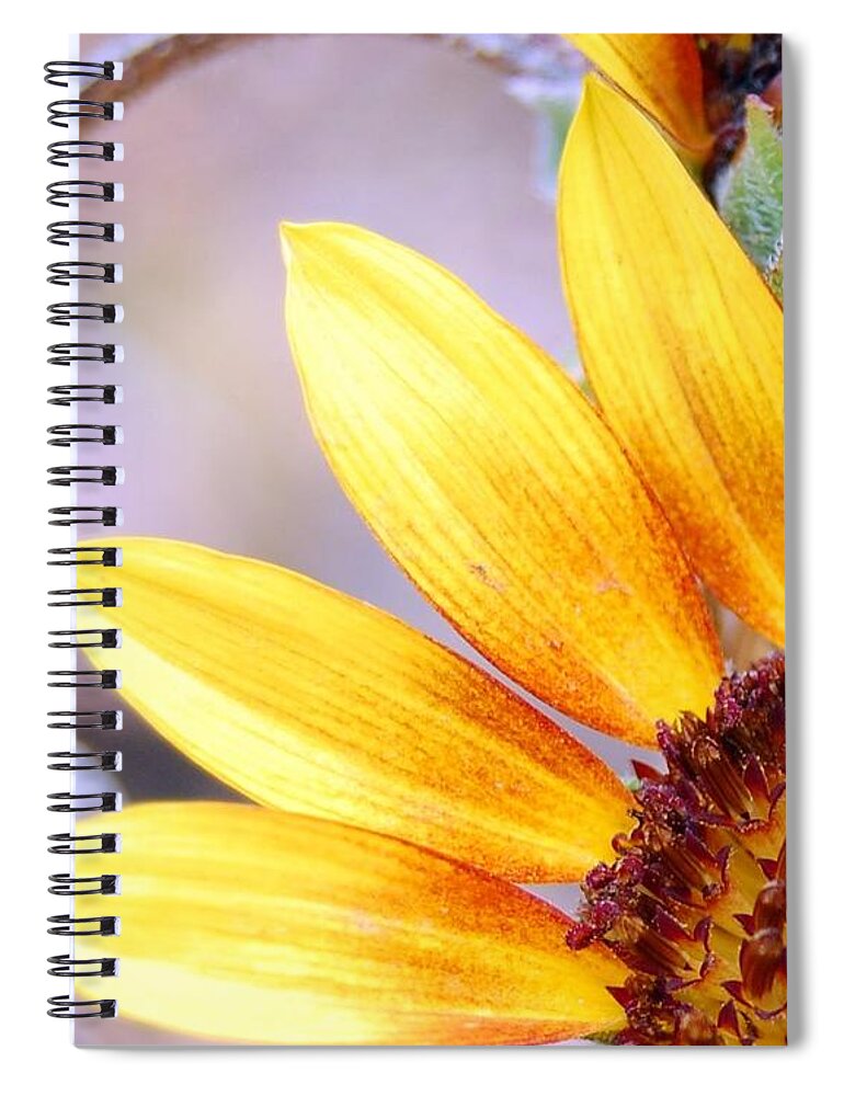 Sunflower Spiral Notebook featuring the photograph Sunflower Perspective by Amy Fose