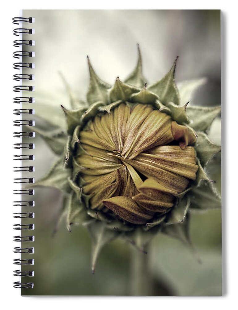 Selective Spiral Notebook featuring the photograph Sunflower by Steve Ball