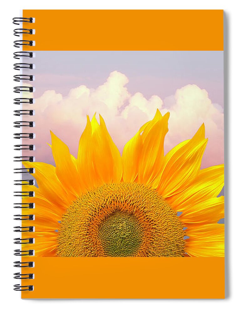 Sunflower Spiral Notebook featuring the photograph Sunflower Sunrise Panoramic by Gill Billington