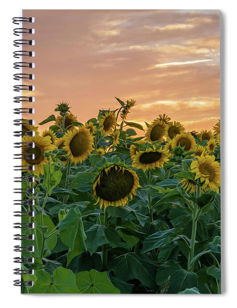 Sycamore Spiral Notebook featuring the photograph Sunflowers ala Van Gogh IV by Angelo Marcialis