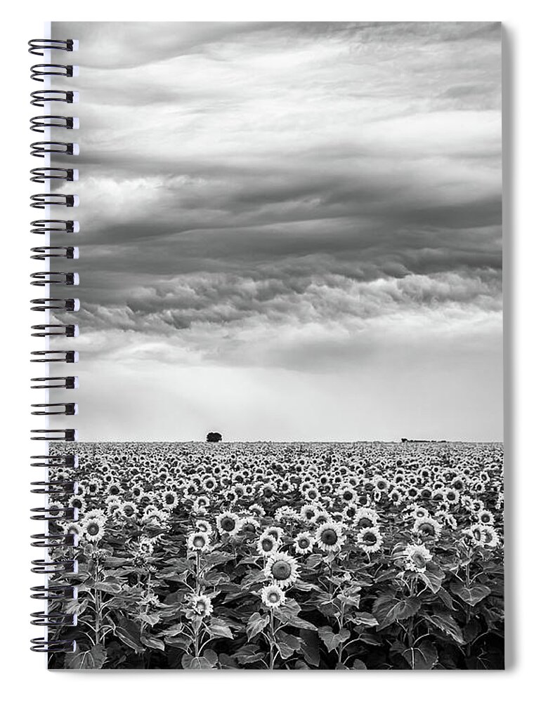 Landscapes Spiral Notebook featuring the photograph Sunflowers and Rain Showers by Penny Meyers