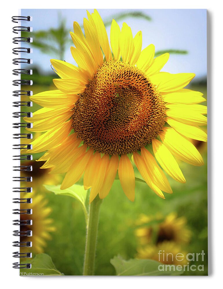 Sunflowers Spiral Notebook featuring the photograph Sunflowers in Memphis II by Veronica Batterson