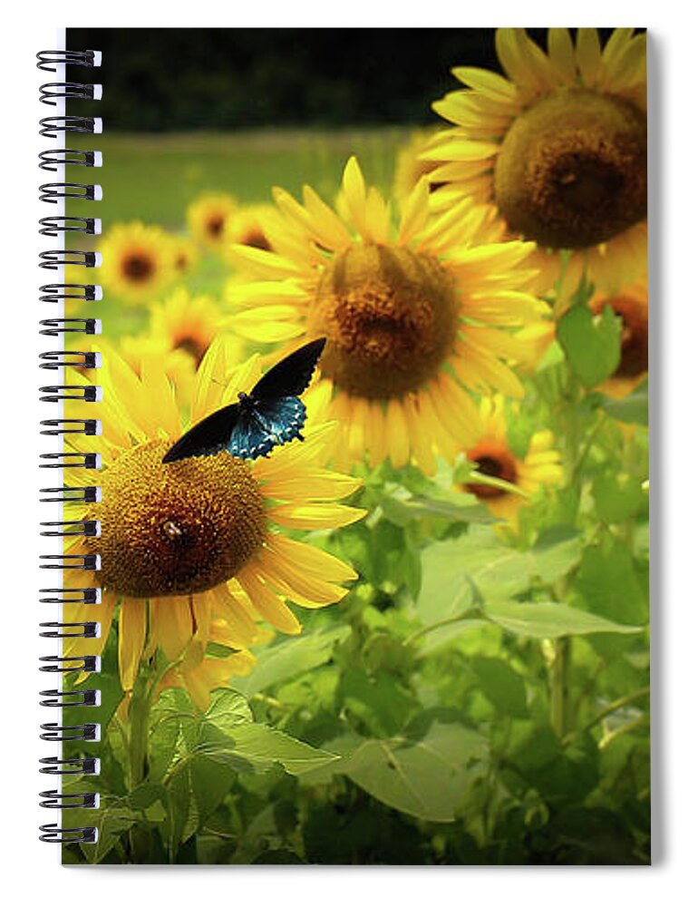 Sunflowers Spiral Notebook featuring the photograph Sunflowers in Memphis by Veronica Batterson