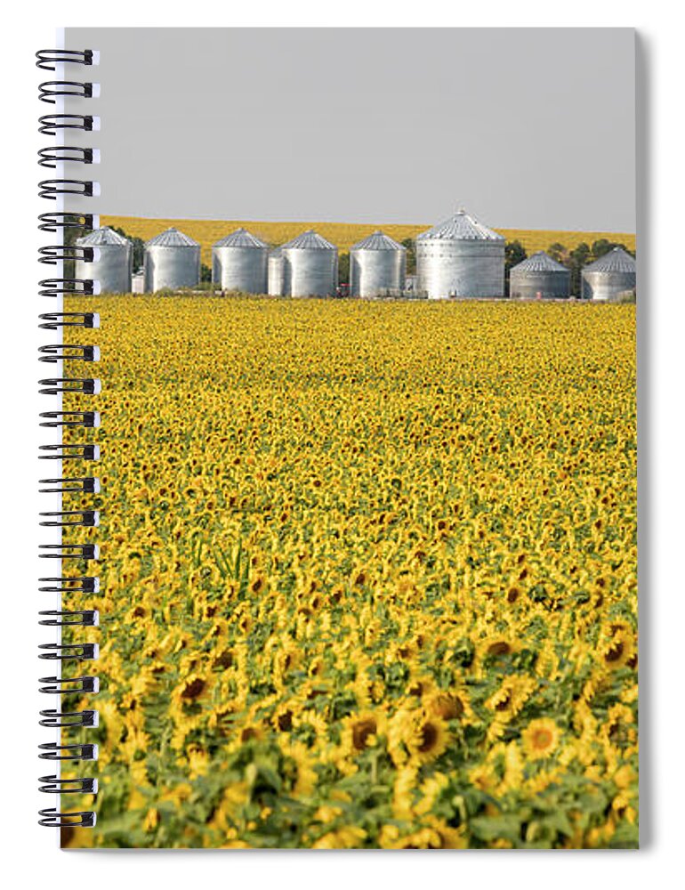 Sunflowers Spiral Notebook featuring the photograph Sunflowers by Jim West