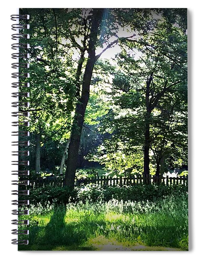 Sunlight Spiral Notebook featuring the photograph Sunlight Through Trees and Fence by Frank J Casella