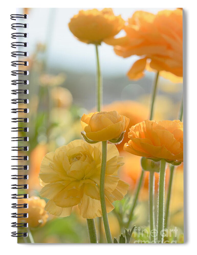 Spring Spiral Notebook featuring the photograph Sunny and Sweet by Ana V Ramirez