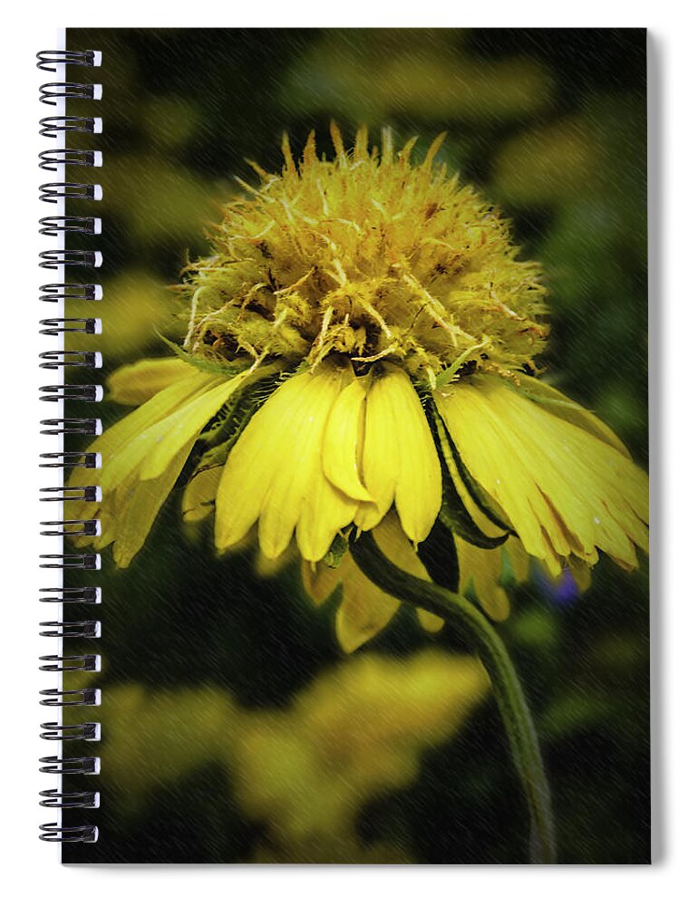 Sun Spiral Notebook featuring the photograph Sunny Flower by Leticia Latocki