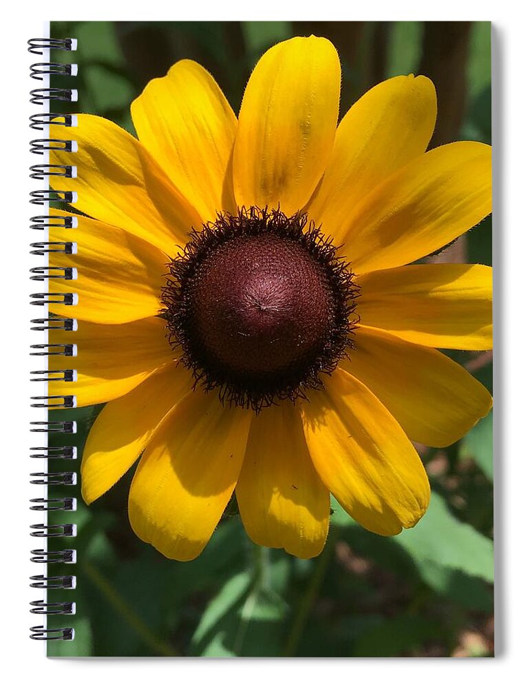 Sunflower Spiral Notebook featuring the photograph Sunny by Pamela Henry