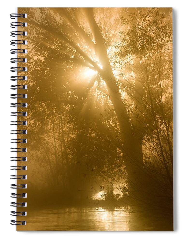 Natural Forms Spiral Notebook featuring the photograph Sunrise and Fog by Rikk Flohr