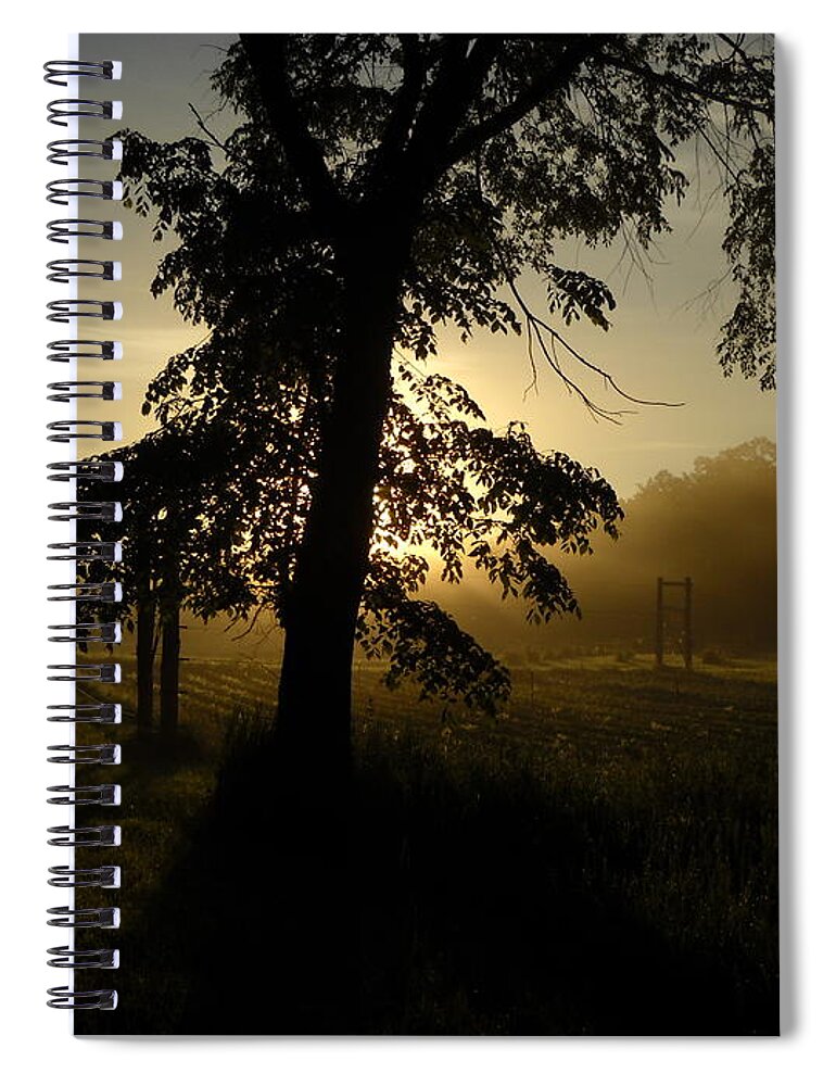 Sunrise Spiral Notebook featuring the photograph Sunrise Behind Elm Tree by Kent Lorentzen