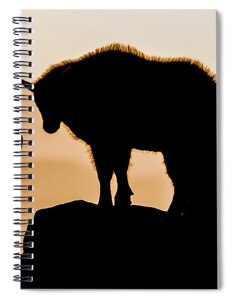 Mountain Goat Spiral Notebook featuring the photograph Sunrise on the Mountain #2 by Mindy Musick King