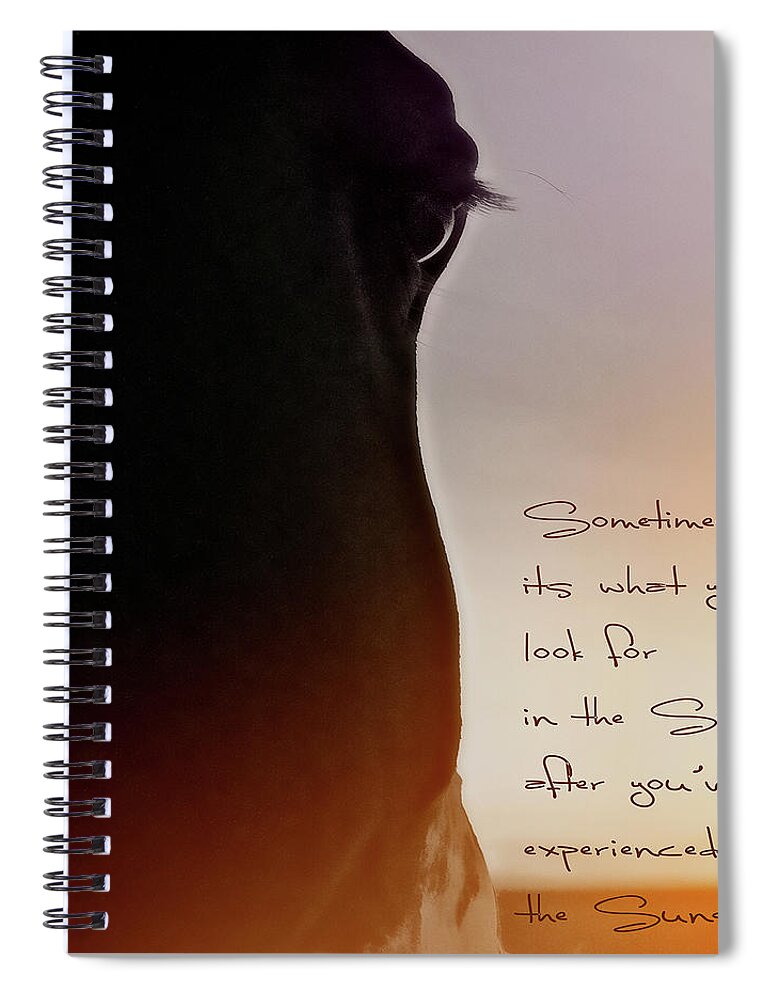 Horse Spiral Notebook featuring the photograph Sunrise Sunset by Amanda Smith