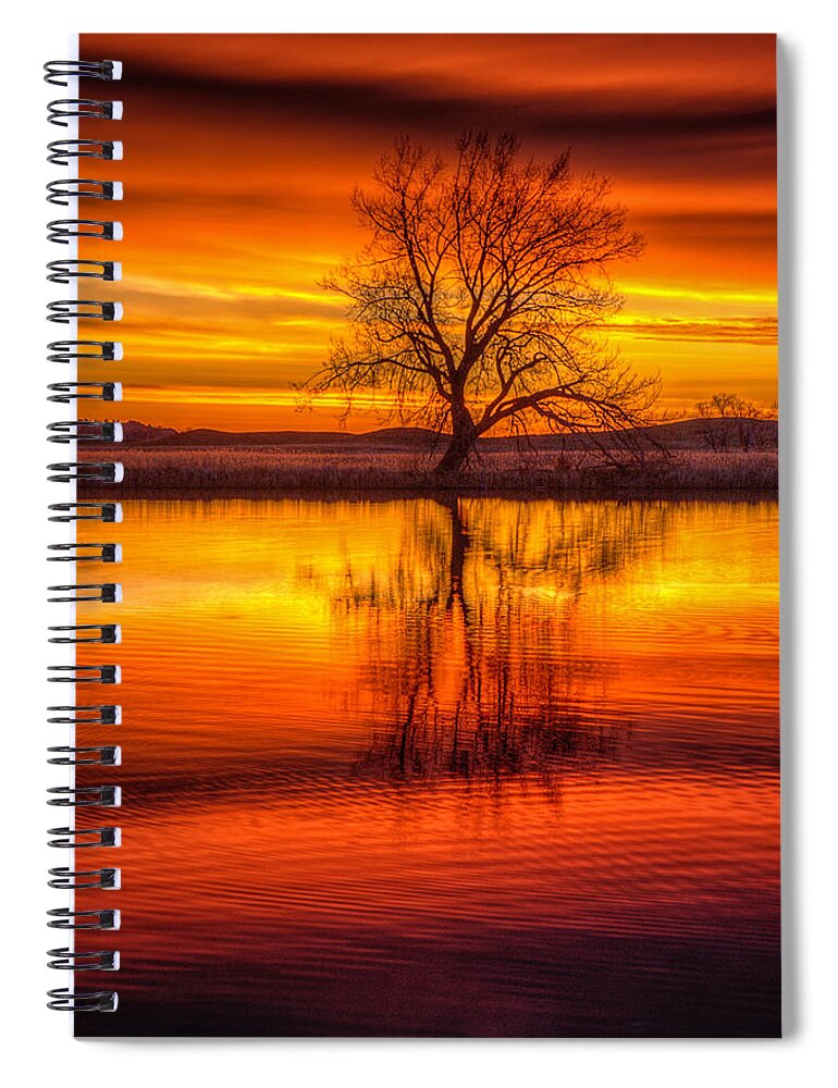 Sunrise Spiral Notebook featuring the photograph Sunrise Tree by Fiskr Larsen