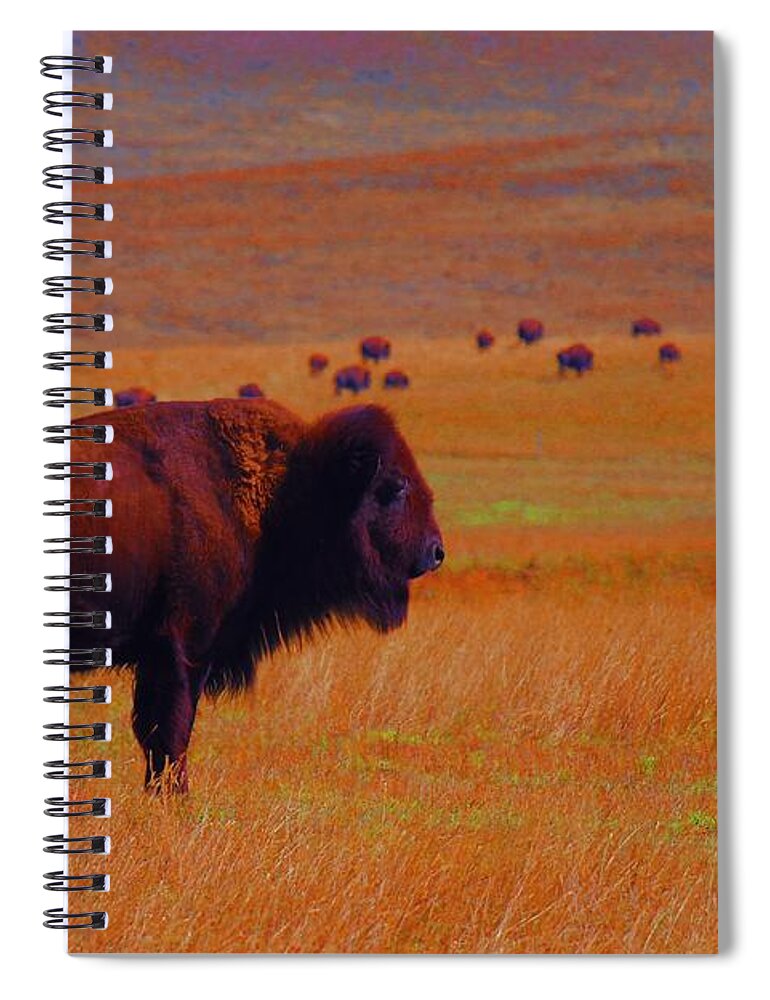 Buffalo Spiral Notebook featuring the photograph Sunrise Watch by Amanda Smith
