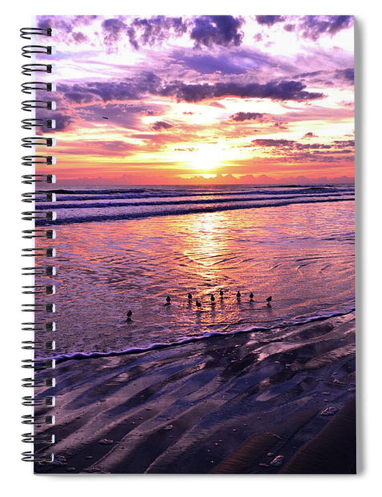 Sanderlings Spiral Notebook featuring the photograph Sunrise with Sanderlings 11-26-16 by Julianne Felton